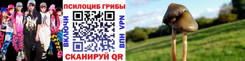 это наркотические препараты  ссылка на мегу маркетплейс  Инсар  Галлюциногенные грибы Magic Shrooms 